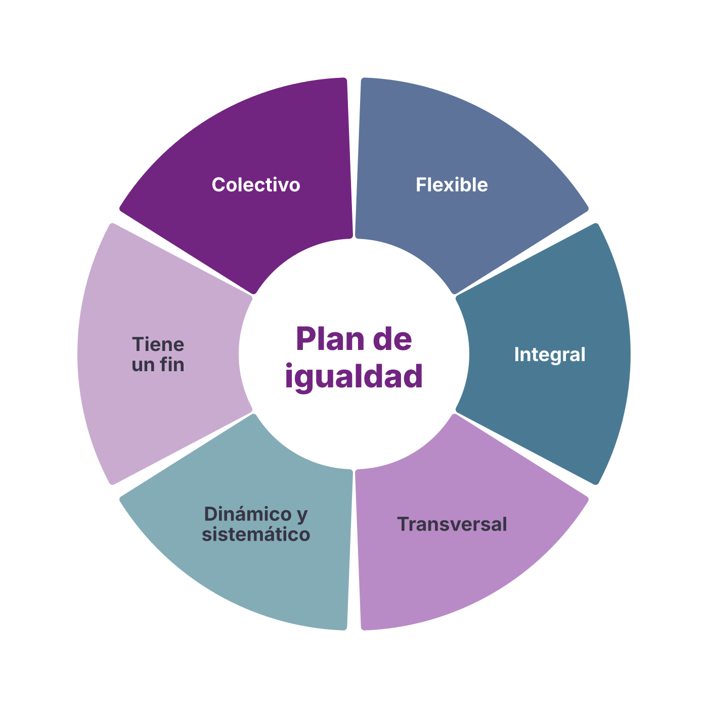 Plan de igualdad: colectivo, flexible, integral, transversal, dinámico y sistemático, con un fin