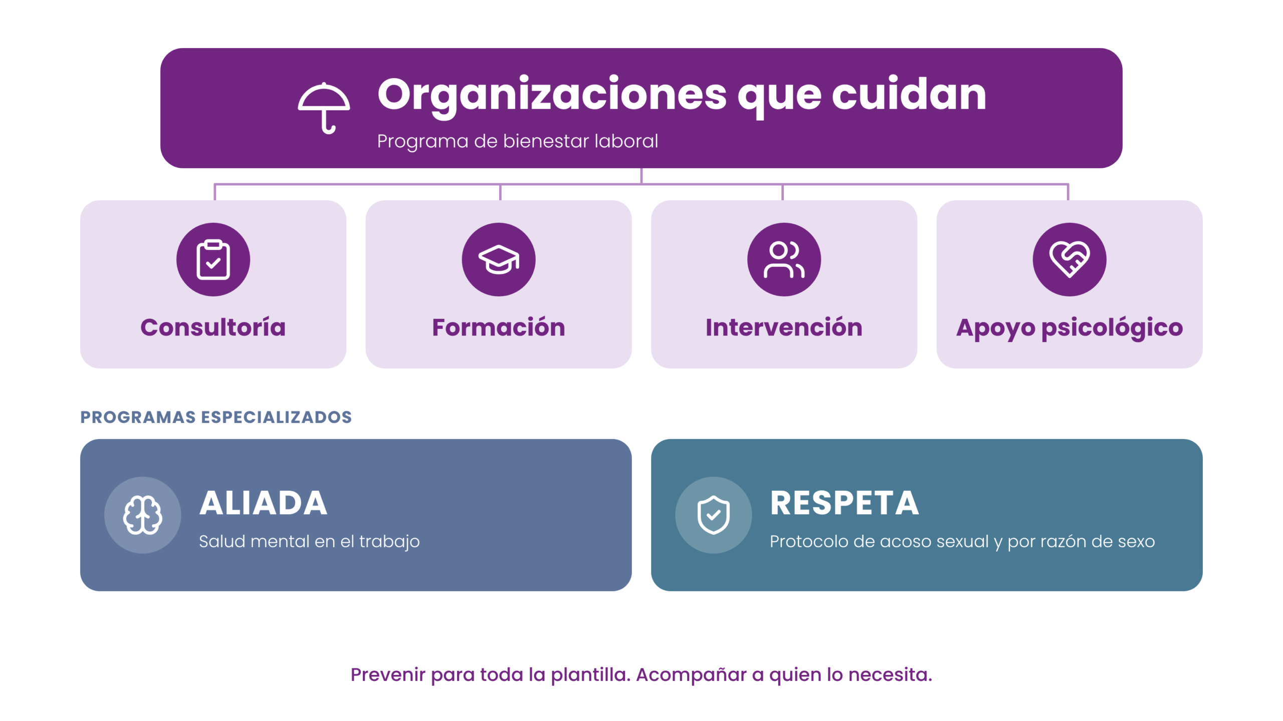 Programa de bienestar laboral Organizaciones que cuidan: cuatro líneas de trabajo y dos programas especializados, ALIADA y RESPETA